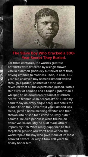 The Slave Boy Who Cracked a 300-Year Secret They Buried.