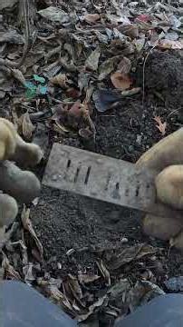 I Unearthed a Harmonica Reed Plate! 😲