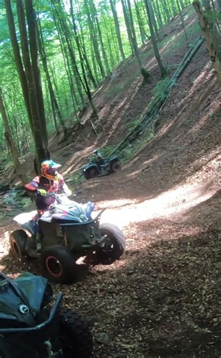 ATV Adventures in a Lush Forest Setting