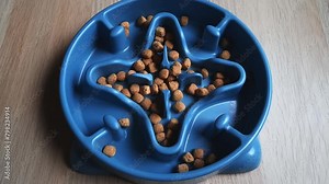 Dry dog ​​food falling into slow feeding bowl. Meal time. Round pellets of pet food fall into deep plastic Anti-Choking Slow Feeder plate. Dog lifestyle. Dog Friendly place. Diet and daily food intake