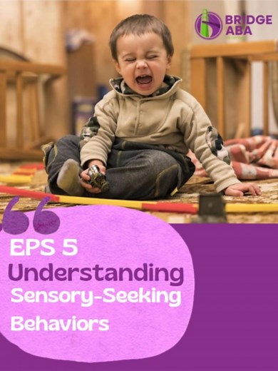 Series 12: Sensory World: Understanding Sensory processing Needs-Episode 5: Understanding Sensory-Seeking Behaviors | Bridge Aba