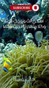 قبل أن تبحث عن السكن.. ابحث عن الأمان!