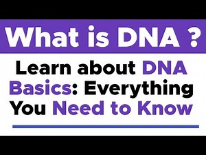 What is DNA ? | DNA Basics: Everything You Need to Know"