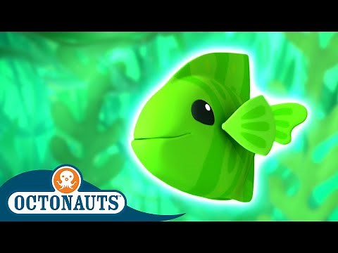 Octonauts - The Mysterious Kelp Forest | Full Episode 19 | Cartoons for Kids