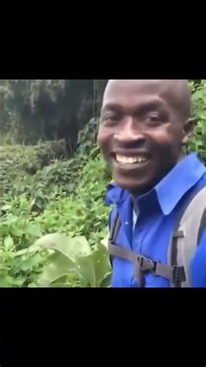 Speeding Car’s Tire Explodes and Flips! Epic Crash Meme #Shortvideo #beamngdrive