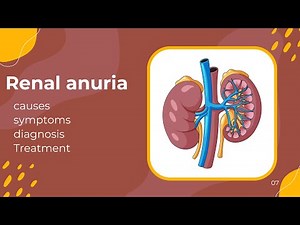 Renal Anuria 2/3 || Surgery Lectures