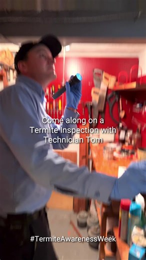 Termites can cause damage long before you ever notice them. 🐜🐜🐜 During this inspection, Technician Tom explains what he looks for and where termites tend to hide inside a home. Stay ahead of the problem and schedule your termite inspection today! #TermiteAwarenessWeek #TermiteControl #TermiteInspection #PestControl #Termites #PestFreeHome #PestProtection #HomePestControl #TermiteTreatment #TermiteDamage #HomeDamage #HomeInspection #HouseInspection #WesternPest