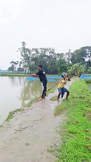 #brazil #Amazing | Marc Entertainment