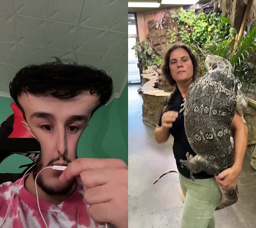 Monitor Lizard Interaction at The Reptile Zoo