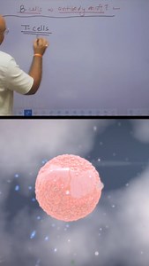 B cells and T cells are white blood cells (lymphocytes) for adaptive immunity, but B cells make antibodies (humoral immunity) to neutralize pathogens, while T cells directly kill infected/cancerous cells or help coordinate the immune response (cell-mediated immunity). Both originate in bone marrow, but B cells mature there, whereas T cells travel to the thymus to mature. B Cells (B Lymphocytes) Primary Role: Produce antibodies (proteins) that tag pathogens (bacteria, viruses) for destruction or