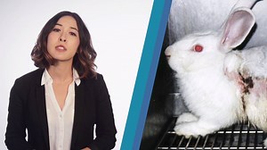 43K views · 1.8K reactions | Ever wonder how our scientists are helping stop animal tests for good? Technological advances like these! | PETA (People for the Ethical Treatment of Animals) | Facebook