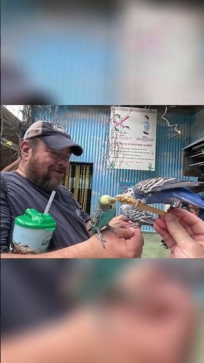 Gatorland: Experience the Alligator Capital of the World!