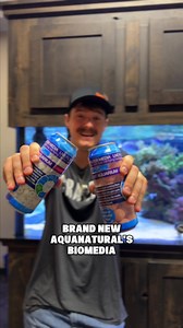 Filter BOOST! #BRStv Need to give your reef tank's biofilter a boost? Aqua Natural has you covered! #shorts https://hubs.li/Q03MXmgZ0 | Bulkreefsupply.com - Saltwater Aquarium Supplies