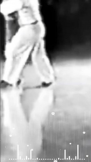 ✨ Crazy boogie woogie night retro 60s #dancemusicofthe60s80s