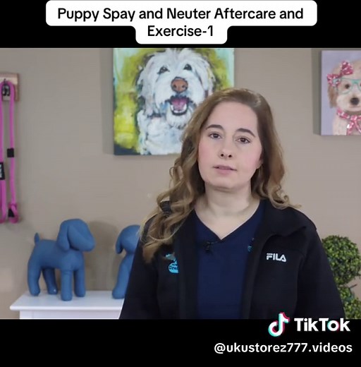 Puppy Spay and Neuter Aftercare Tips and Exercises