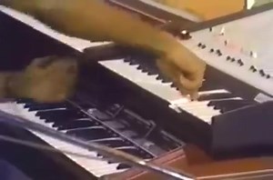 A Day On the Soultrain with the Originals. Song "Galaxy". *Featured In This Video: Harold Brown, Howard Scott, Lee Oskar, B.B Dickerson, Lonnie Jordan and The Late Papa Dee Allen and Charles Miller. | Lowrider Band