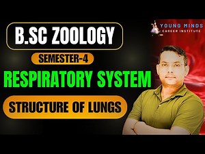 Comparative Anatomy of Respiratory System | Structure of Lungs