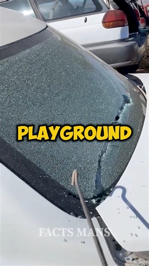 25K views · 221 reactions | Little johnny  | Facts man | Facebook