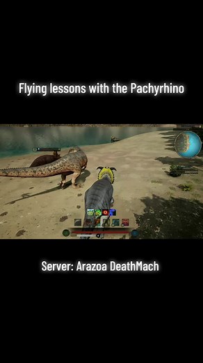 Understanding Flight Instructions in Path of Titans