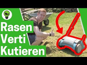 Scarifying the lawn ✅ ULTIMATE GUIDE: How to remove moss in the garden with an electric scarifier?
