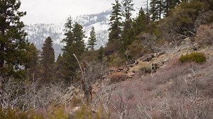 10K views · 214 reactions | See the Science Behind the Design || Listen to Shaun Ayers as he walks us through why we made Valo Camo and how it fits in with the rest of our camouflage line. | KUIU | Facebook