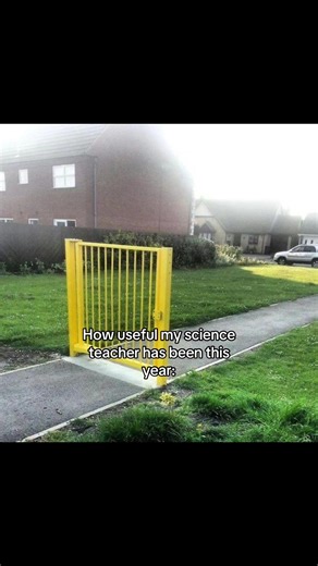 The Impact of My Science Teacher This Year