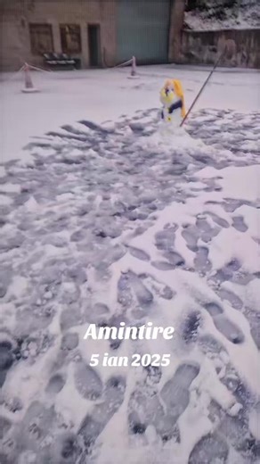 #amintire