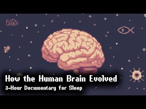 The Evolution of the Brain | 3 Hour Biology Documentary