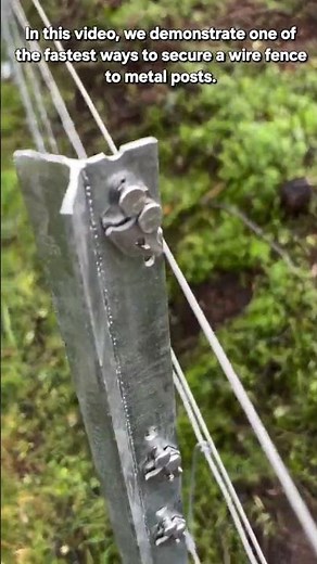 Effortless Fencing: How to Use Quick-Clip Metal Posts
