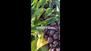 You can also follow Azure Standard on Instagram to see more.🙂 | Azure Standard