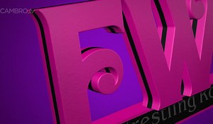 Peyton fwr wrestling