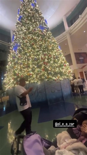 Quarry Woods on Reels