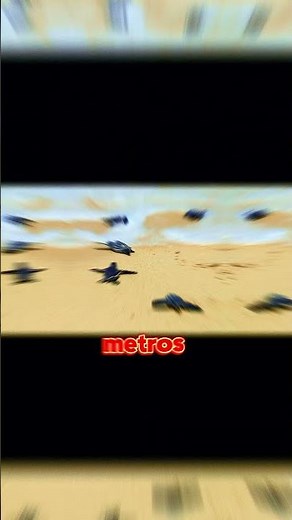 🐢 La Tortuga Más Grande del Mundo y Sus Increíbles Profundidades 🌊