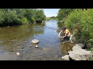 Surface Water Quality Sampling in Toronto and the GTA