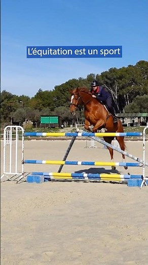 L’équitation est un sport #cheval #horse
