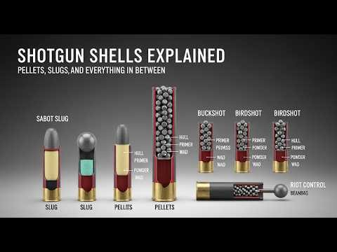 Shotgun Shells Explained: Pellets, Slugs, and Everything in Between.