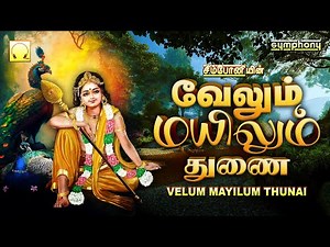 வேலும் மயிலும் துணை | Velum Mayilum Thunai | சஷ்டி விரதம் பலன் தரும் முருகன் பாடல்கள் Murugan Songs