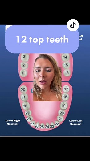 How Many Teeth Do You Have? Understanding Dental Count