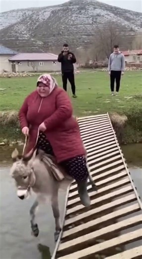 Heavyweight Aunt & Skinny Donkey DESTROY a Wooden Bridge! 🌉🐴 (Village Fail)