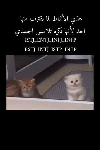ميمز الأنماط mbti#الأنماط #mbti | MBTI Memes