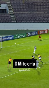 . O Invejoso tomou no C# 🤣🤣🤣🤣🤣🤣🤣🤣🤣🤣🤣 . . . . . . . . . . . . . . #spfc #tricolor #futebol #brasileirao #instagram #flamengo #palmeiras #sccp #santosfc #campeonatobrasileiro | Logotipo Tricolor