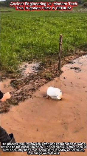 Ancient Engineering vs. Modern Tech | This Irrigation Hack is GENIUS!