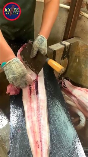 Knife Skills - Professional video fish cutting skills sashimi and sushi food #video #skills #fish