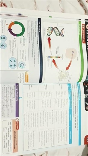 B2 AQA Higher notes #study #biology #gcse