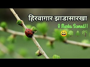Marathi Poem Appreciation - हिरवागार झाडासारखा