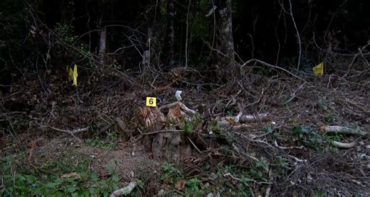 Shock weapons twist in case of teen Pheobe Bishop missing for 12 days