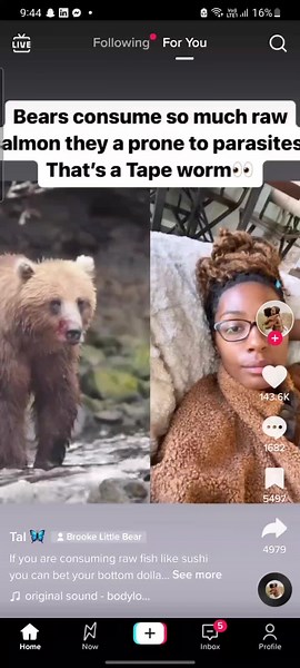 when the algorithm just hits different