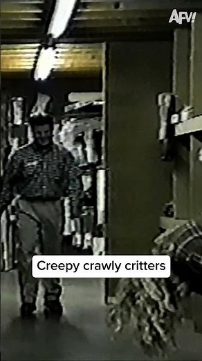 Scariest part of these videos are some of the outfits... 🤣#halloween #spooky #fails