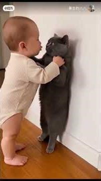 Funniest Pet Moments!