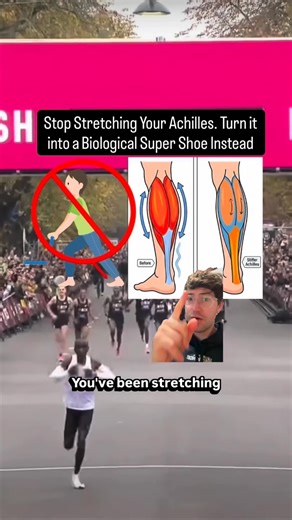 Jonah Rosner | Elite Running Scientist on Instagram: "Most runners are told to stretch their calves and Achilles to run better. The problem is that efficiency does not really come from flexibility. It comes from stiffness. Your calf muscle and Achilles tendon work together as one unit. When the Achilles is stiffer, it takes on more of that stretch. That allows the calf muscle fibers to work more isometrically (this is just a nerdy term we use to mean the muscle does not move much, but it makes u